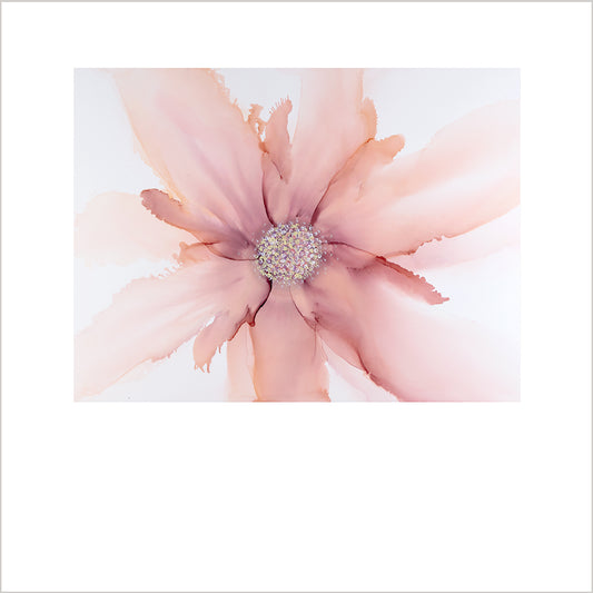 Demi Dance|Kristine VanderSchaaff