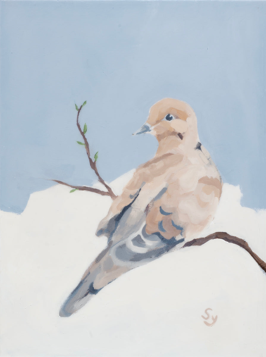Mourning Dove II|SK Yi