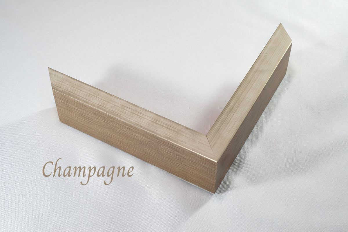 Passage I|Thomas B. Cover