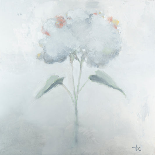 Dawn Flower|Thomas B. Cover