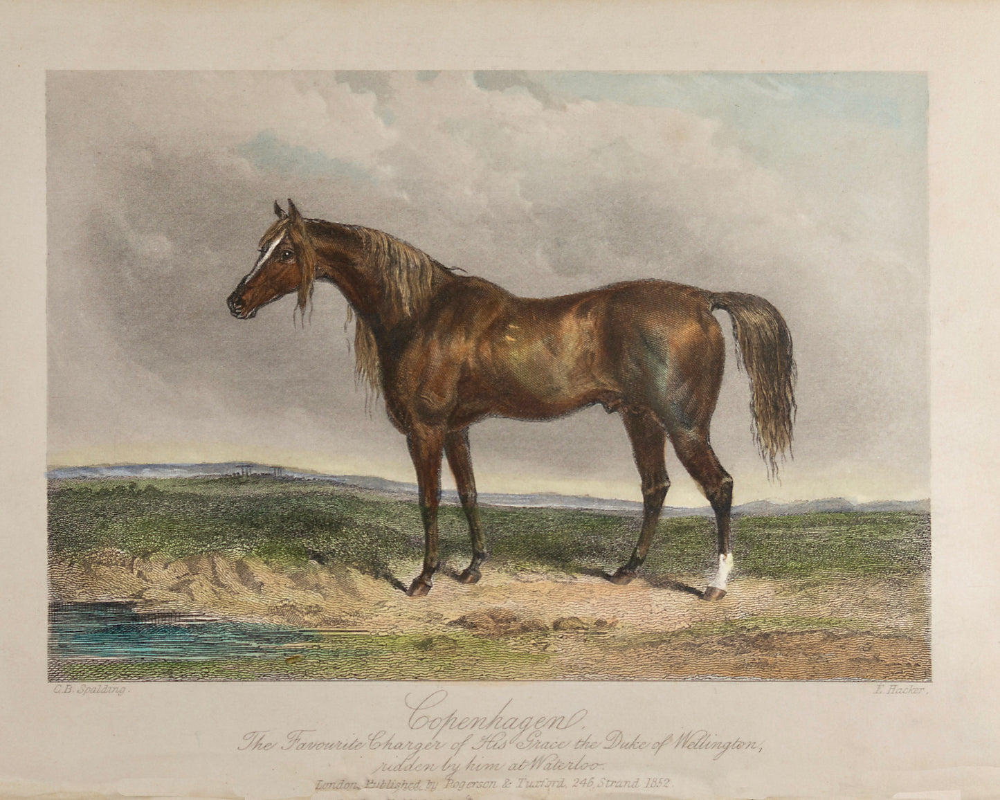 Vintage Horse Prints Set of 6