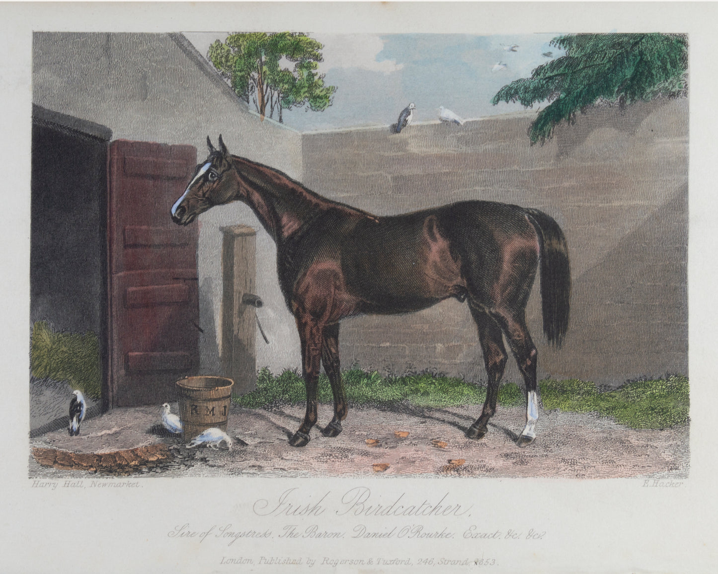 Vintage Horse Prints Set of 6