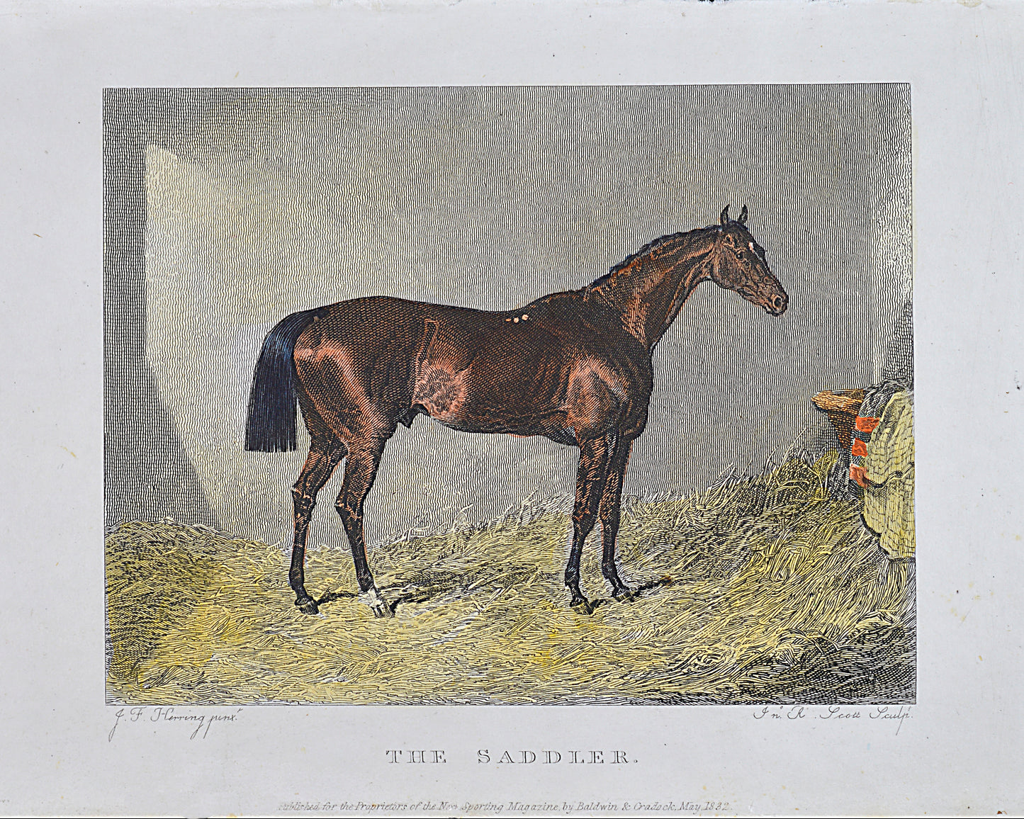 Vintage Horse Prints Set of 6