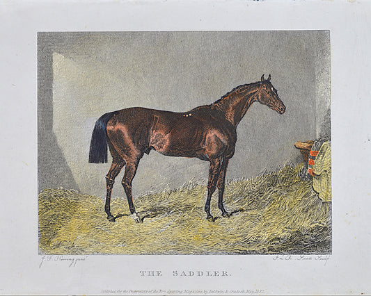 Vintage Horse Prints Set of 6