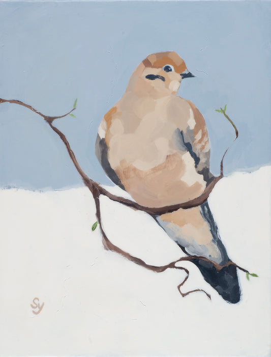 Mourning Dove I|SK Yi